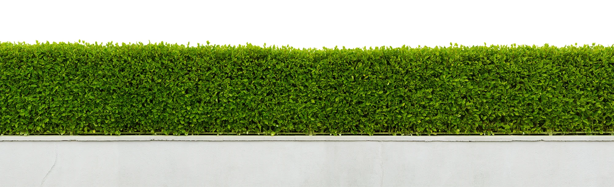 Propertyhedge